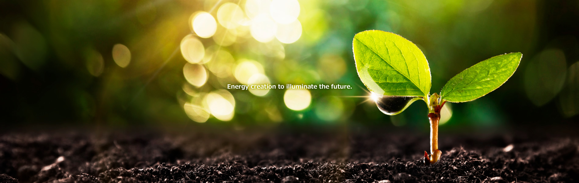 Energy creation to illuminate the future.